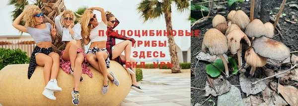 молекула духа Белоозёрский