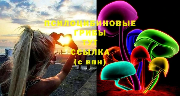 марки lsd Белокуриха