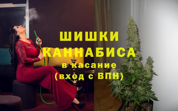 молекула духа Белоозёрский